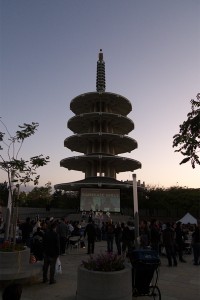 P1000340
